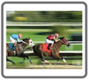Put down the tools, and enjoy a day out on the track!