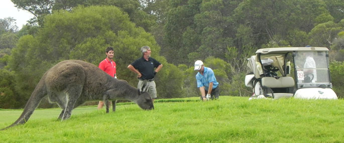 Annual Autumn Golf Day