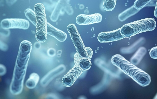Legionnaires' disease cases are rising in Australia