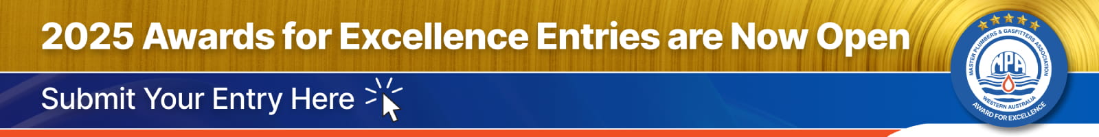 2025 Awards for Excellence